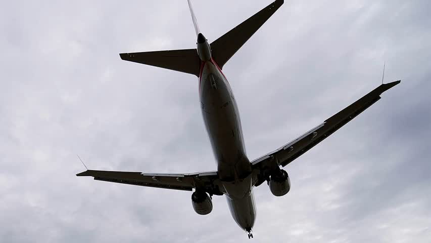 Фото - Случайная птица «атаковала» международный рейс и вынудила самолет развернуться